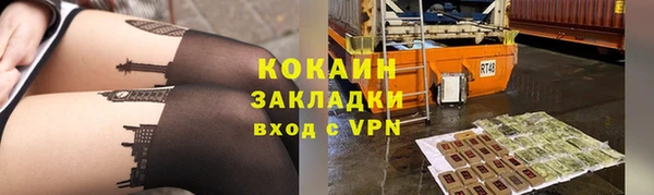 бошки Бородино