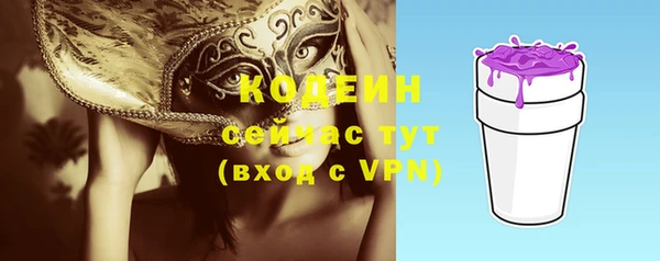 молекула духа Верхний Тагил
