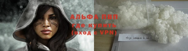 гидра Верея