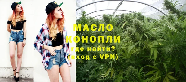 крисы Сясьстрой