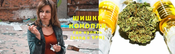 бошки Бородино