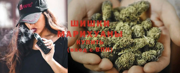 молекула духа Верхний Тагил