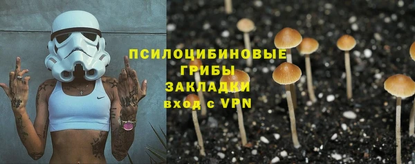 бошки Бородино