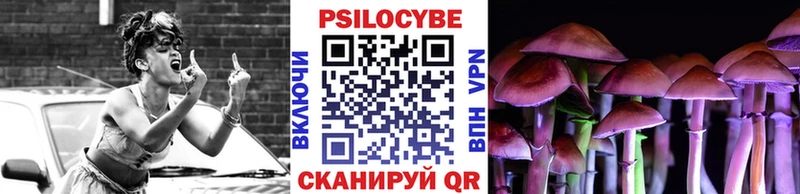 Галлюциногенные грибы Psilocybine cubensis  где купить наркоту  Семёнов 